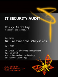 IT Security Audit